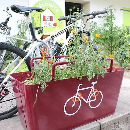 Hostel Velo